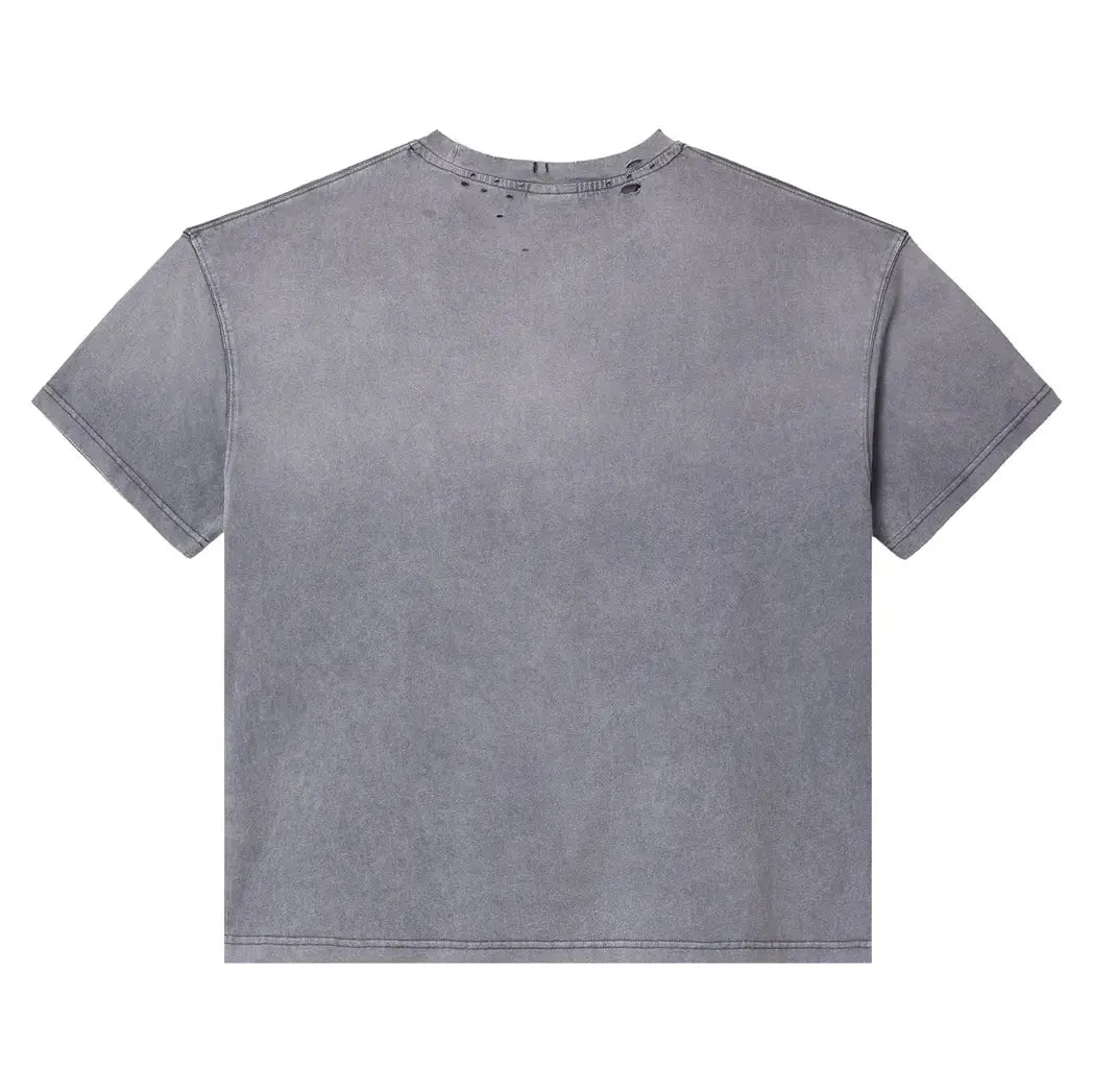 Vale Forever Valley Dreams Daxiu T-Shirt Grey
