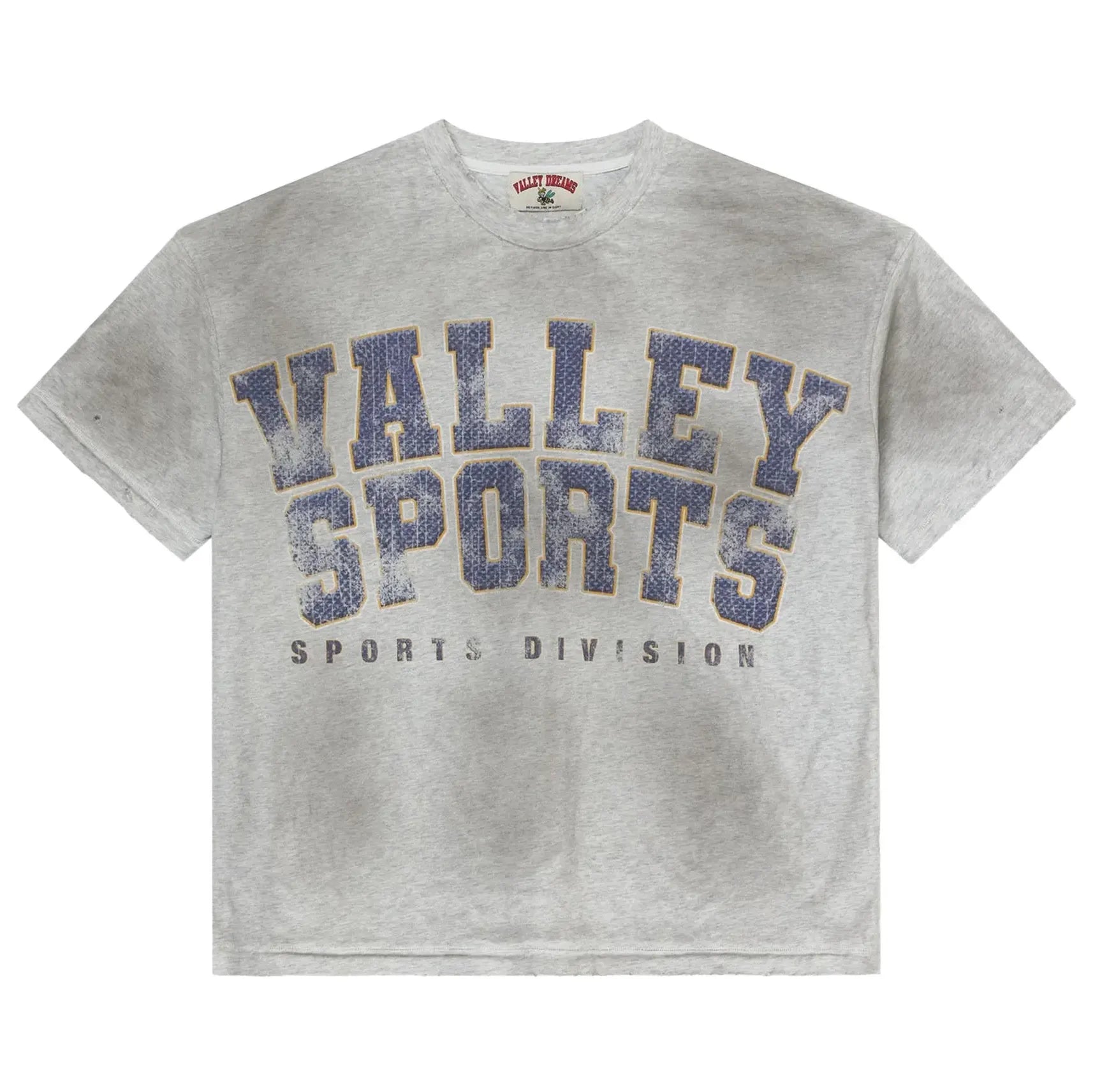 Vale Forever Valley Sports T-Shirt Grey