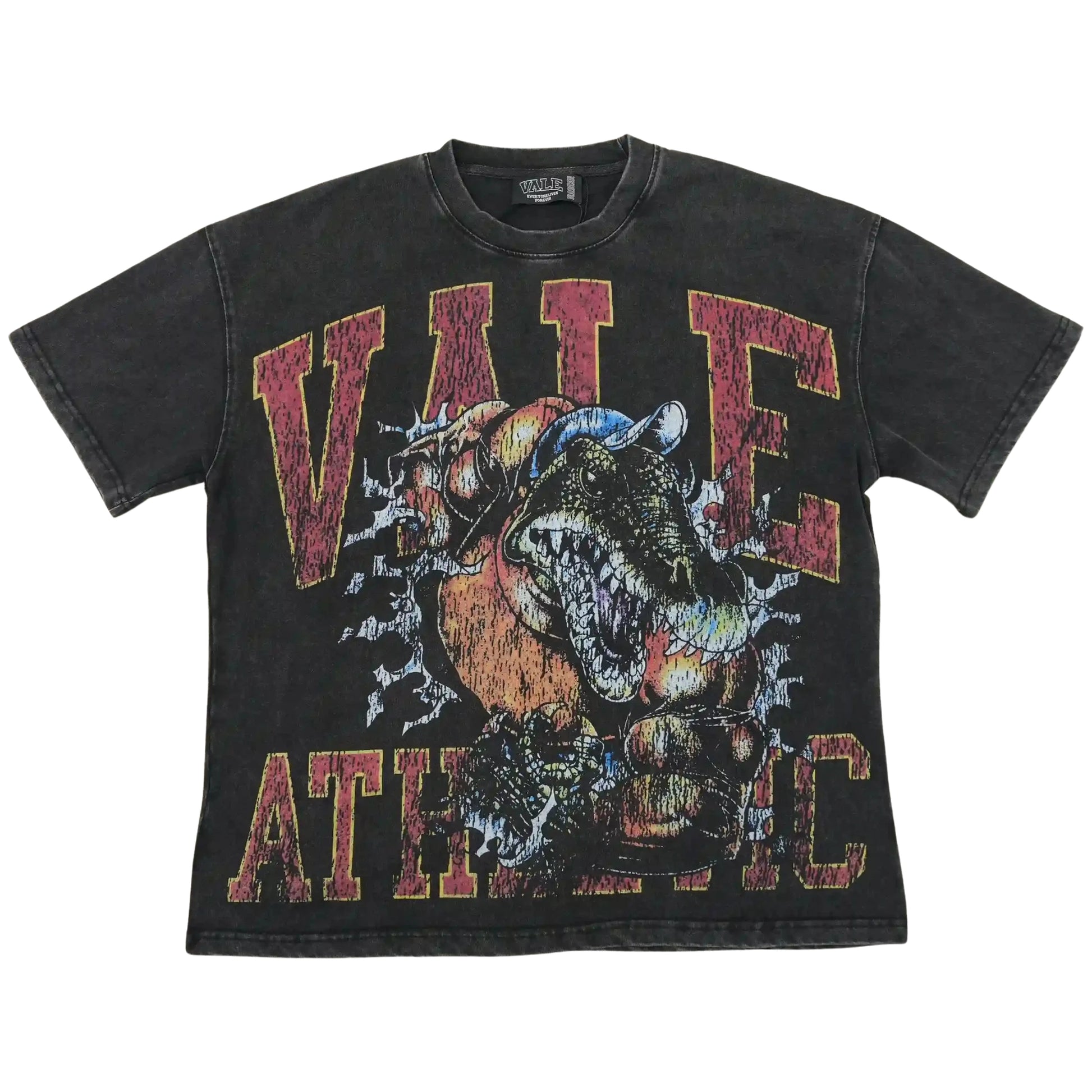 Athletic Dinosaur Tee Vintage Black